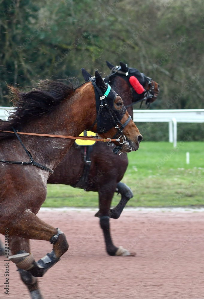 Un Dimanche de Courses