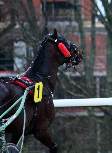 Un Dimanche de Courses © Marc