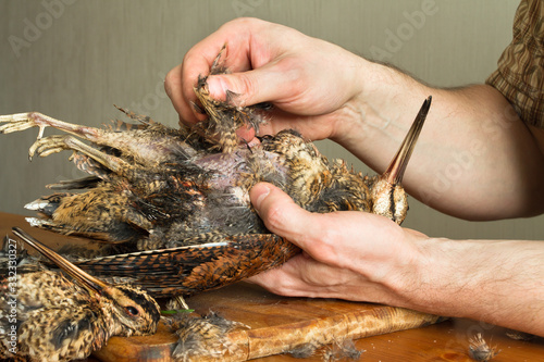 hands of the cook pluck a wild bird