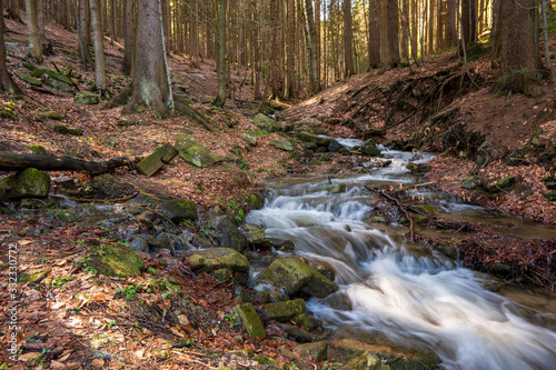 brook during snow melting in spring and tusk fallen leaves from autumn, Czech © Martin