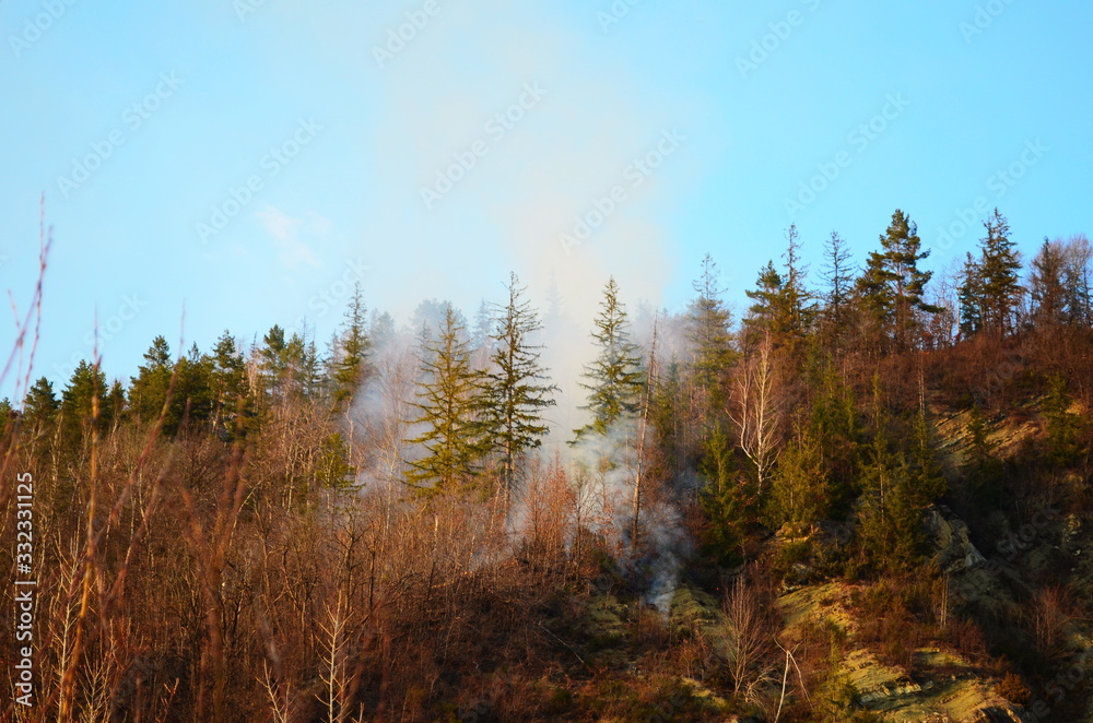 Raging pine tree fire across the hill Raging pine tree fire across the hill