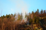 Raging pine tree fire across the hill