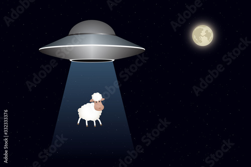 UFO abducts sheep at night. Vector illustration.