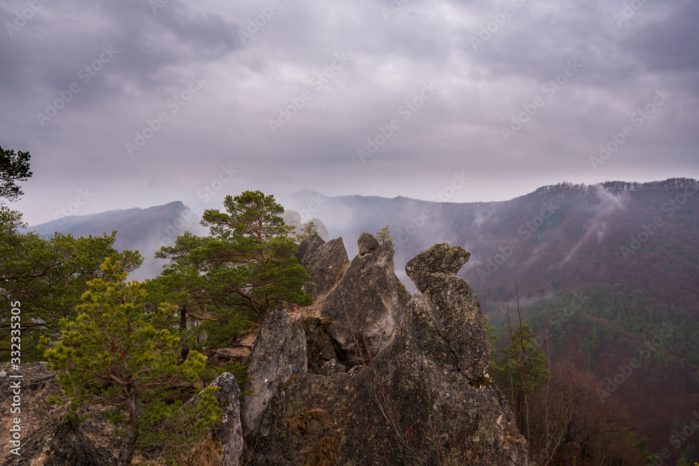 Fototapeta premium Remains of rock city in Sulov Rocks, Súľov Rocks is a Slovak national nature reserve. Slovakia Sulovske Rocks High sandstone rocks in Sulov Rocks. Zilina region, Slovakia Sulovske Rocks.