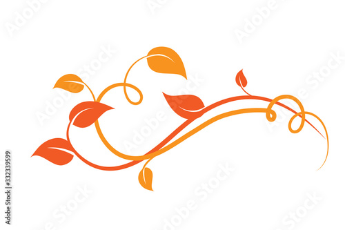 Fotografia Elemento floreale decorativo arancione, ramo rampicante di edera con foglie