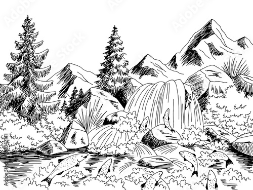 Salmon fish spawning river graphic black white landscape sketch illustration vector