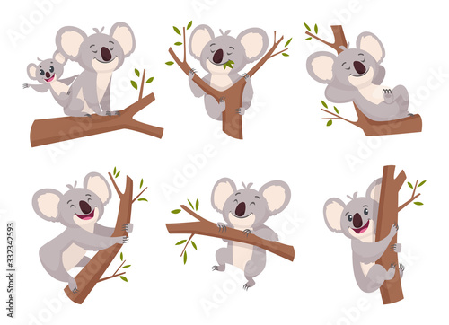 Koala bear. Wildlife cute furry animal from australia zoo characters cartoon shower symbols vector collection. Illustration koala mammal with eucalyptus, wild adorable happy bear