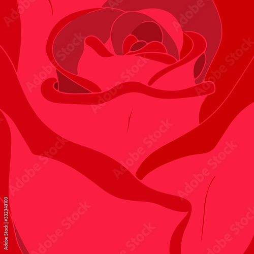 Background red rose. Bud, button.   Postcard cover. Vector.