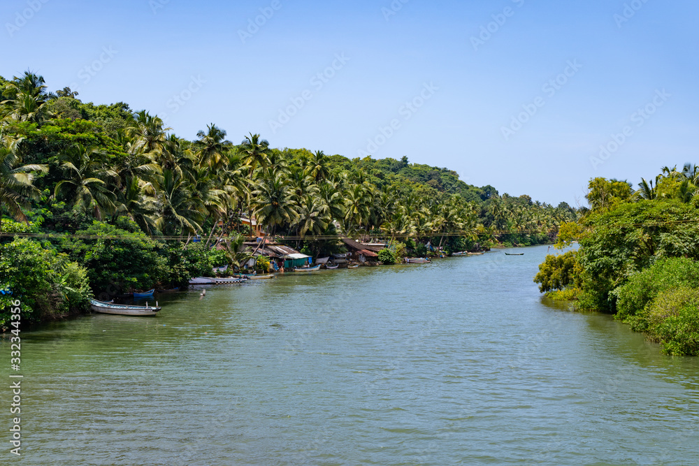 view into the green channel of the indian backwaters, india