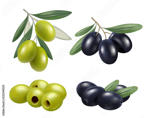 Olive realistic. Greek nature food olive branches relax spa oil vector symbols. Illustration olive fruit green and black