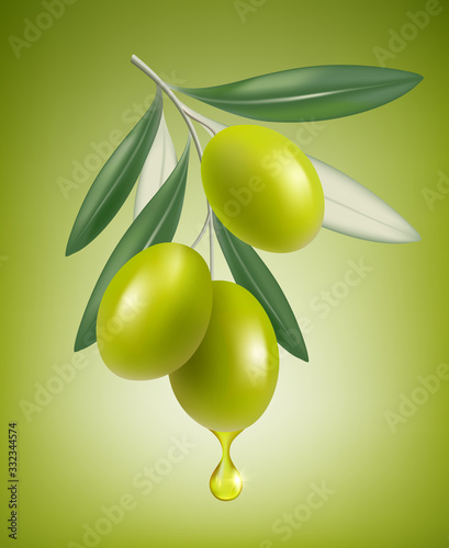Olive drop. Natural branch with splashes of transparent oil vector closeup drop vector realistic greek olive food. Oil olive greek, ingredient healthy olive illustration