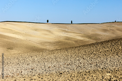 The rural landscape of the  Tuscany. Italy