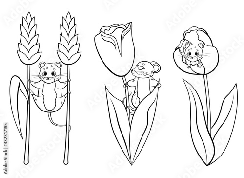 Cute cartoon forest vole or mouse vector coloring page outline set. Vole with flowers. Mouse hiding in tulip. Forest animals for kids. Isolated on white background