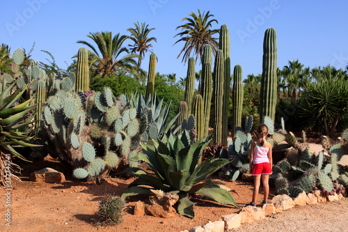 Ses Salines, Majorca / Spain - August 22, 2016: Cactus garden at island Majorca, Botanicactus garden, Jardi­n Botanico, Ses Salines, Mallorca, Balearic Islands, Spain. photo