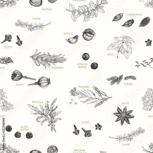 Herbs and spices in hand drawn seamless pattern, natural seasoning for cooking. Vector illustration textile, wallpapers or wrapping paper, background in vintage style.