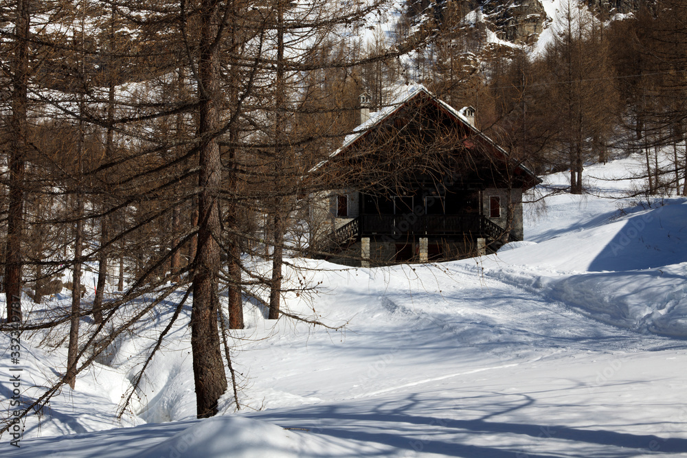 Devero Park ( Verbano-Cusio-Ossola ), Italy - January 15, 2017: Typical houses in the forest at Alpe Devero Park, Ossola Valley, VCO, Piedmont, Italy Devero Park ( Verbano-Cusio-Ossola ), Italy - January 15, 2017: Typical houses in the forest at Alpe Devero Park, Ossola Valley, VCO, Piedmont, Italy