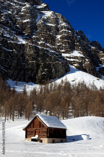 Fototapeta Naklejka Na Ścianę i Meble -  Devero Park ( Verbano-Cusio-Ossola ), Italy - January 15, 2017: Typical house in Alpe Devero Park, Ossola Valley, VCO, Piedmont, Italy