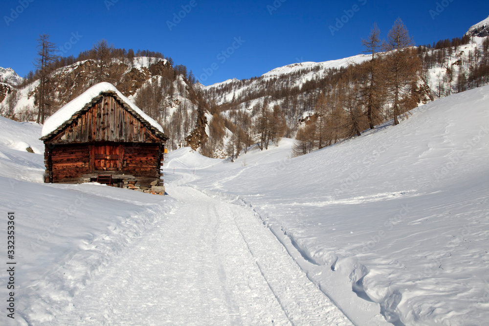 Devero Park ( Verbano-Cusio-Ossola ), Italy - January 15, 2017: The road to Crampiolo village at Alpe Devero Park, Ossola Valley, VCO, Piedmont, Italy