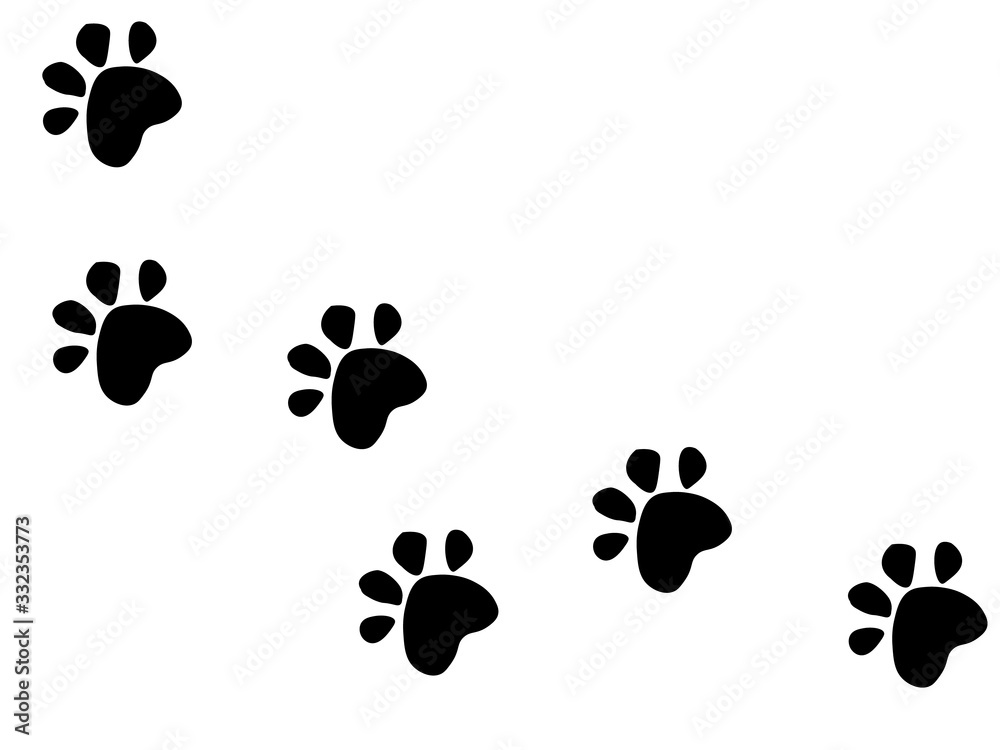 動物の足跡 動物の足跡