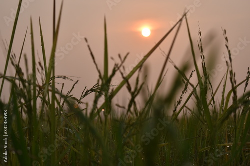 sunset over lake