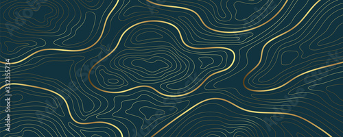 Luxury gold abstract topographic map background with golden lines  texture, 17:9 wallpaper design for fabric , packaging , web, geographic grid map vector illustration.