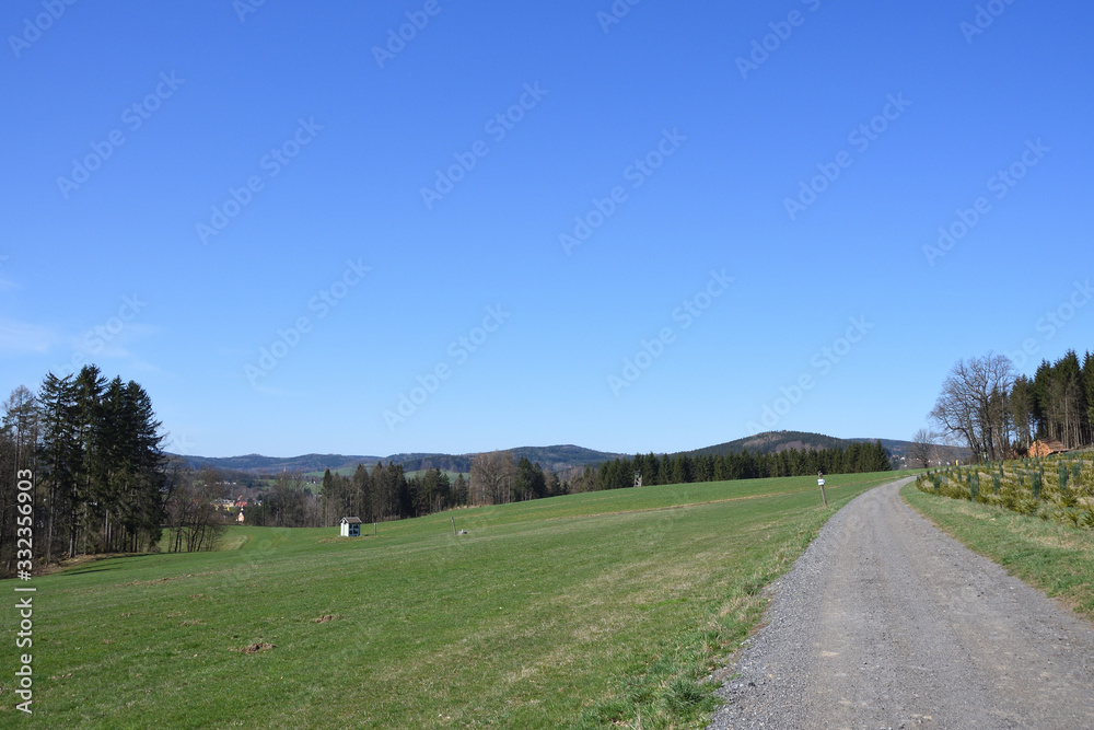 Wiederaufforstung in der Oberlausitz	