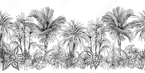 Dekoracja na wymiar  bezszwowe-granica-pozioma-z-szkicowymi-palmami