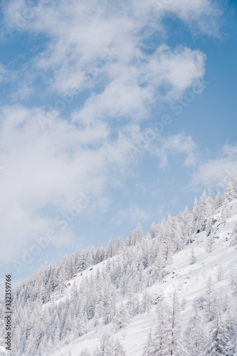 Les Sapins Sous La Neige à la montagne © Anna