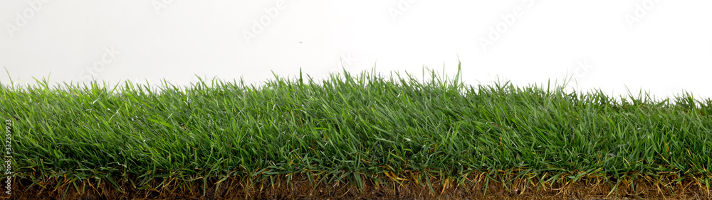 Fototapeta premium Césped fresco fotografiado sobre fondo blanco en estudio