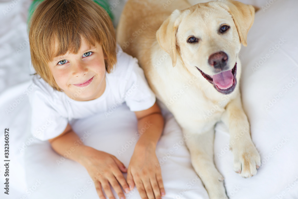 A child with a dog plays fun at home. A little boy with a labrador smiles and laughs. A child with a dog plays fun at home. A little boy with a labrador smiles and laughs.