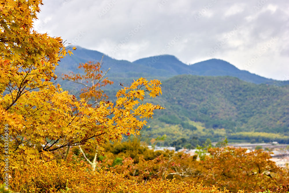 Autumn landscape with trees and mountains