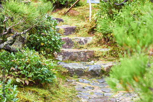 Path with steps in Japanese style garden
