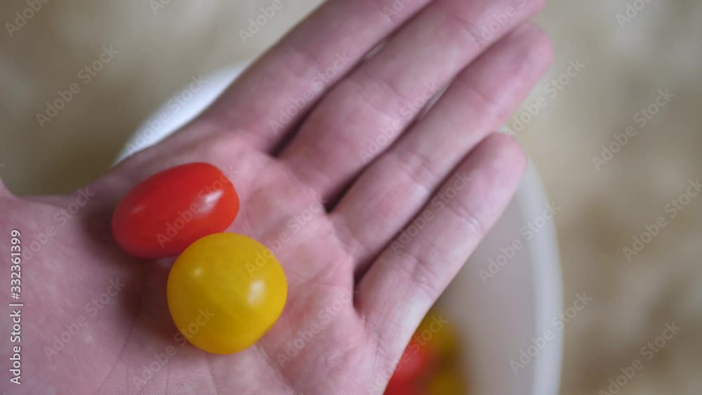 Farmer hold a fresh cherry tomato on his palm. A cook ready to make a fresh salad Farmer hold a fresh cherry tomato on his palm. A cook ready to make a fresh salad