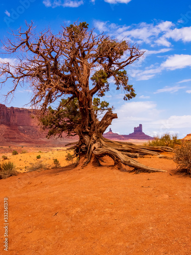 National parks usa southwest area of giant rock formations and table mountains in Monument Valley