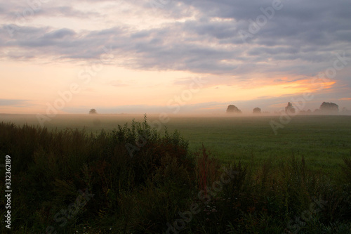summer fog sunrise in the field