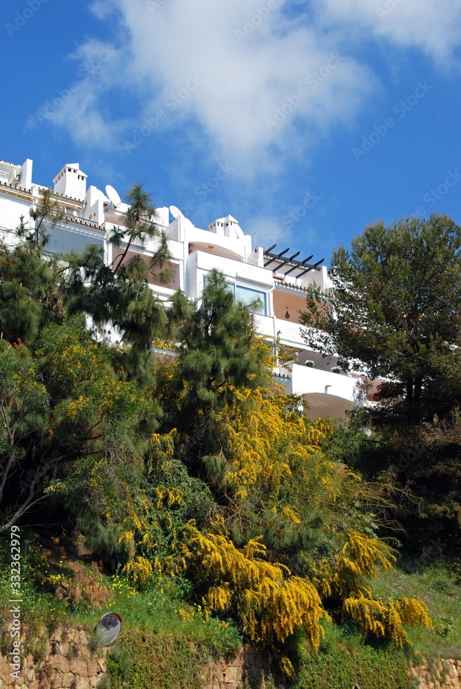 Whitewashed apartment block with Mimosa in the foreground, Calahonda, Andalusia, Spain.