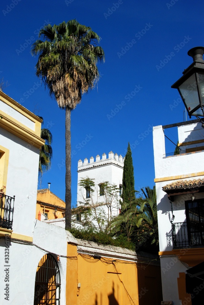 Traditional styled Spanish buildings in the Santa Cruz District, Seville, Spain.