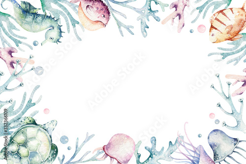 Photography Set of sea animals