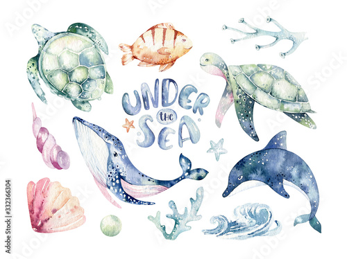 Set of sea animals. Blue watercolor ocean fish, turtle, whale and coral. Shell aquarium background. Nautical wildlife dolphin marine illustration, jellyfish, starfish