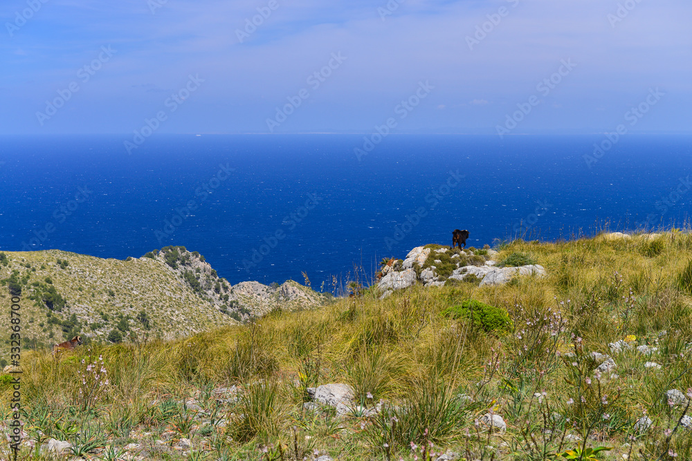 Hiking  View on Mallorca island, Spain