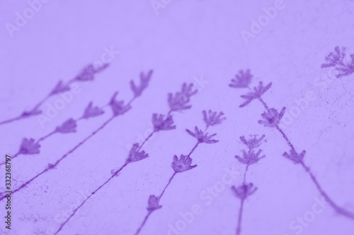 Fototapeta Naklejka Na Ścianę i Meble -  Pale violet purple background with lavender flowers pattern
