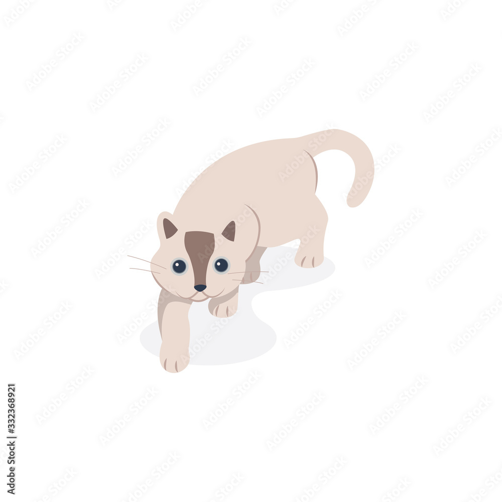 cat funny vector style. isolated flat design. cat funny vector style. isolated flat design.