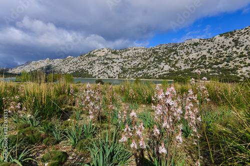 Landscape with a lake in the mountains of Tramontana on the island of Mallorca