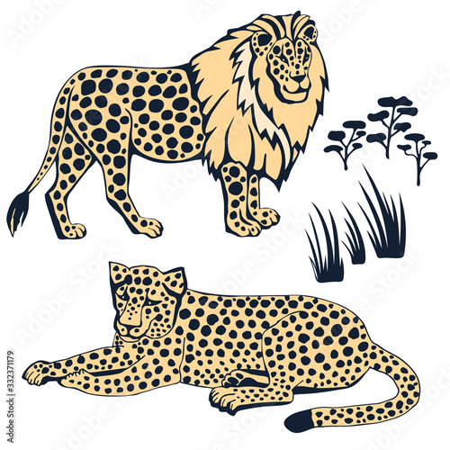 Photography Vector background hand drawn doodle wild cats