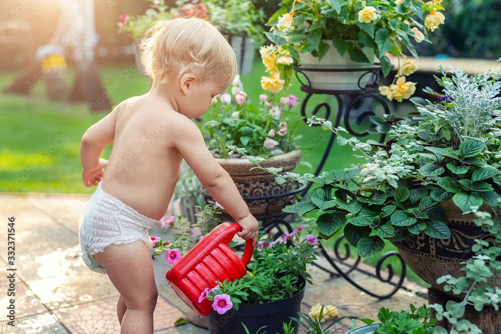 Cuate adorable caucasian blond little toddler boy in white diaper watering flower  pot with red plastic can outdoors. Fun baby boy gardening plant at backyard  countryside cottage on bright summer day Stock