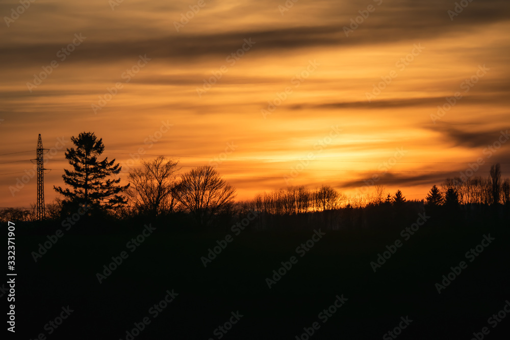 Fototapeta premium Magical sunrise sun behind the tree. There is a golden sky in the background. Dark clouds in the sky