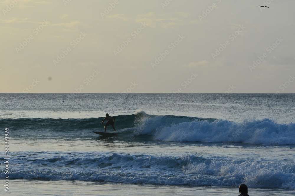 Fototapeta premium f noronha 