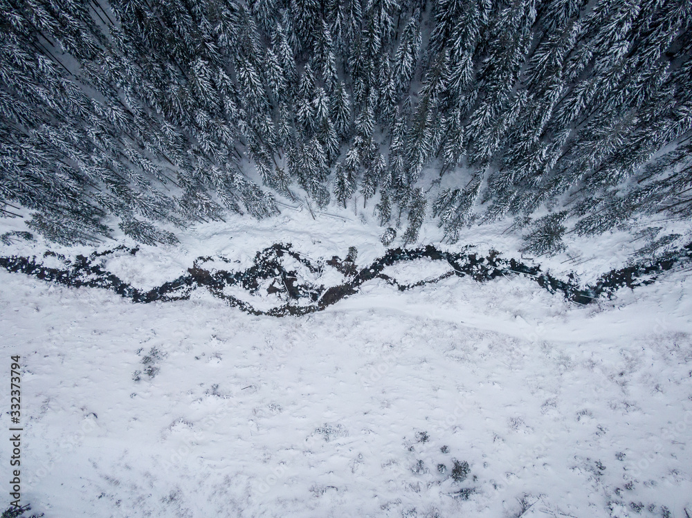 Snowy forest drone shot, white winter Snowy forest drone shot, white winter