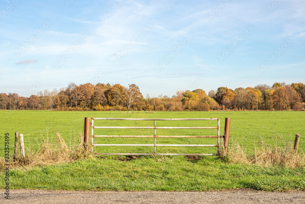 Barbed wire fence and closed gate in agricultural land, bright green meadow Barbed wire fence and closed gate in agricultural land, bright green meadow