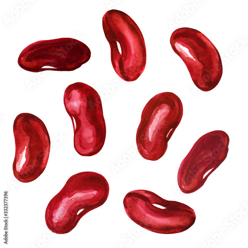 Watercolor illustration of red kidney beans. Set of vegetable seeds for cooking.